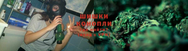 трава Арсеньев