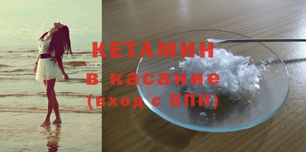 трава Арсеньев
